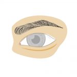 how to draw an eyebrow image