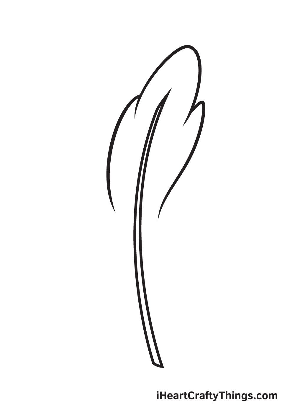 feather drawing step 4