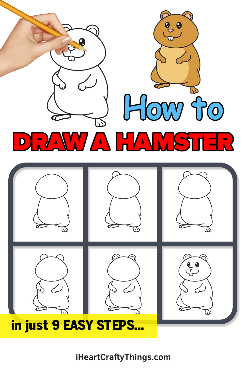 how to draw a hamster in 9 easy steps