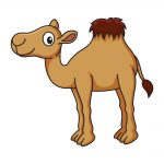 how to draw camel image