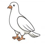 how to draw dove image