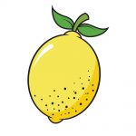 how to draw lemon image