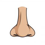 how to draw nose image