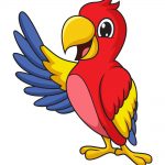 how to draw a parrot image