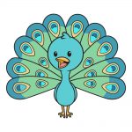 how to draw peacock image