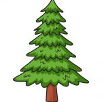 how to draw pine tree image