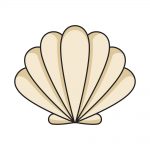 how to draw seashell image