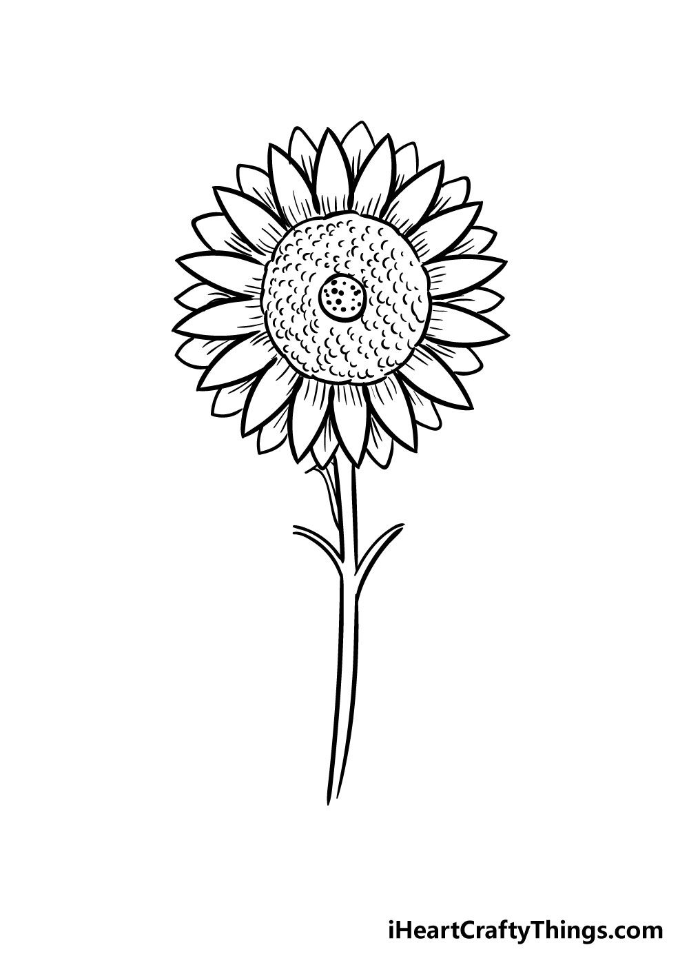sunflower coloring step 8