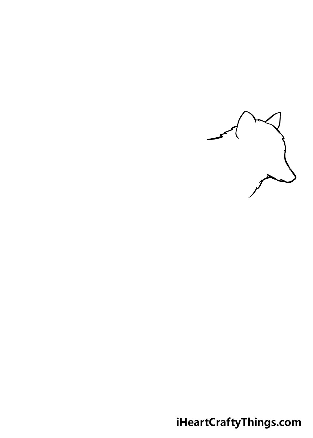 wolf drawing step 1