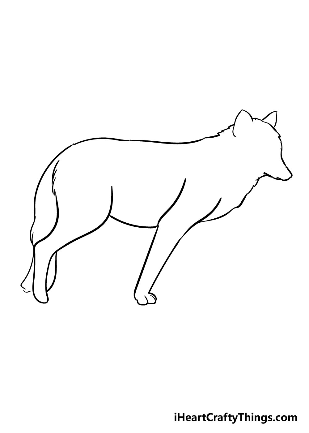 wolf drawing step 3