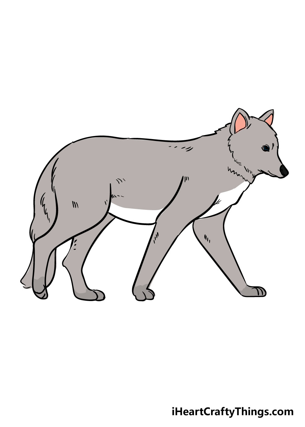 wolf drawing step 6