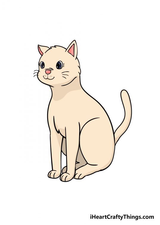 How to Draw A Cat - A Step by Step Guide