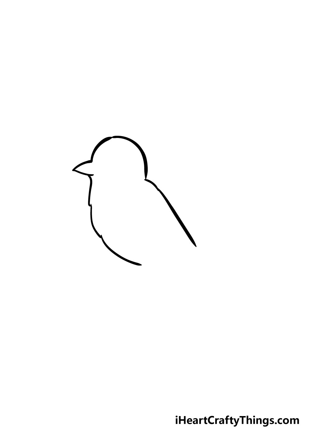bird drawing step 2