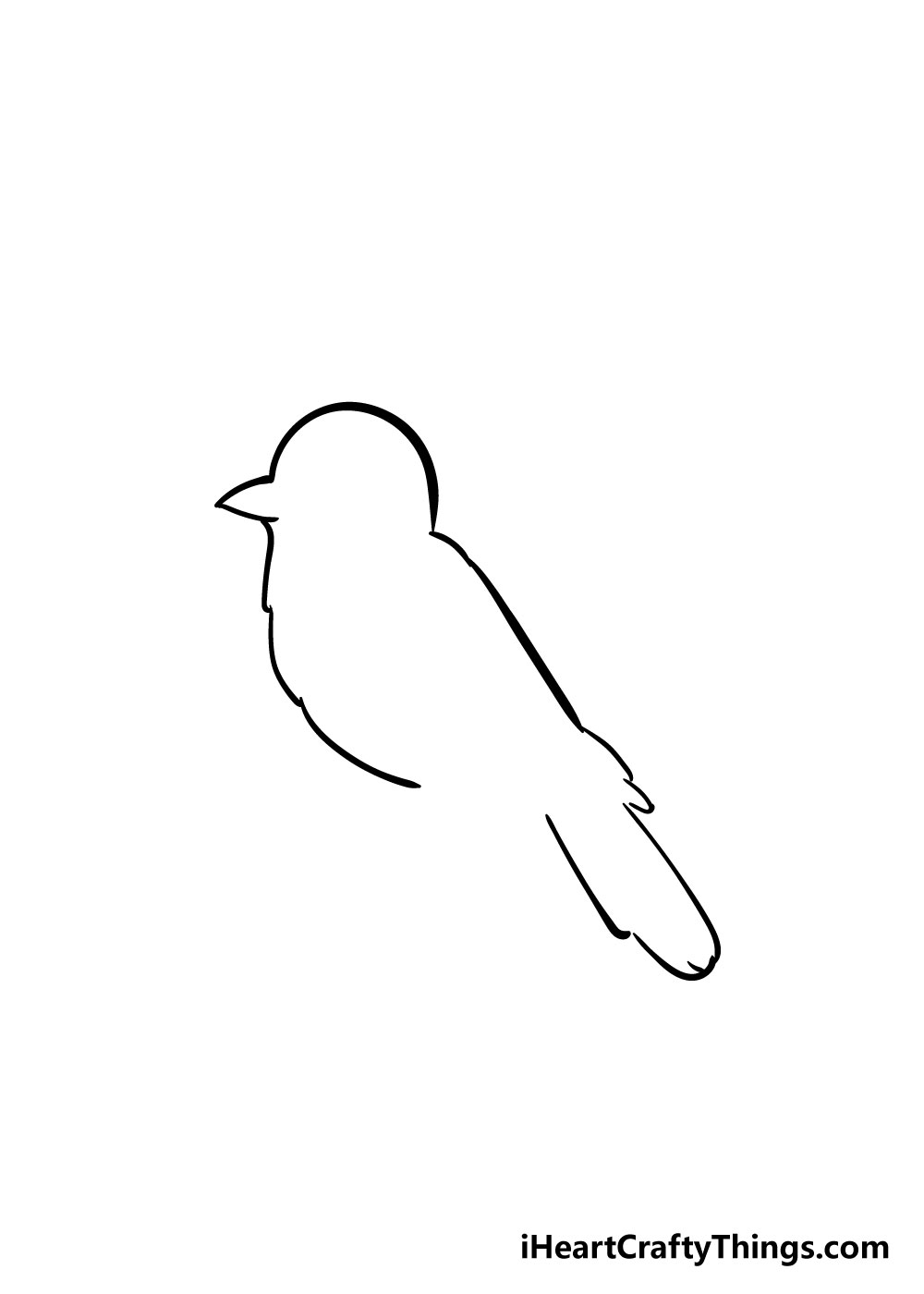 bird drawing step 3