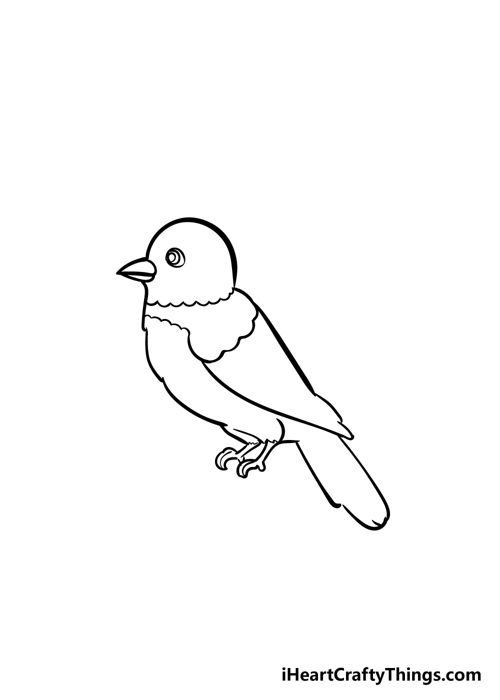 bird drawing step 5