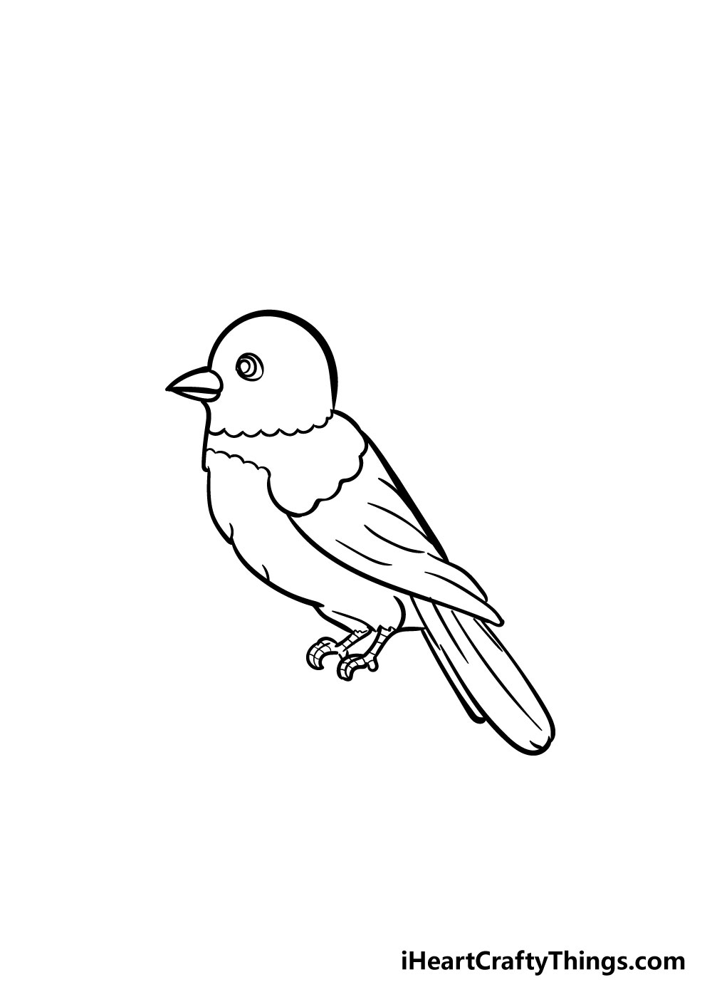 bird drawing step 7