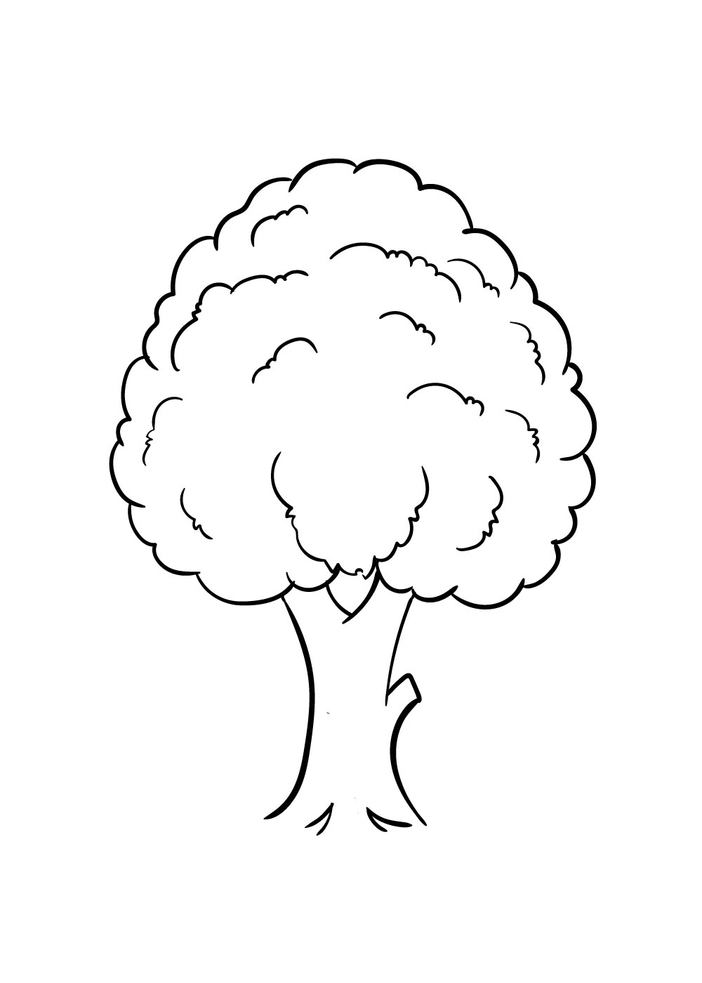 tree drawing step 5