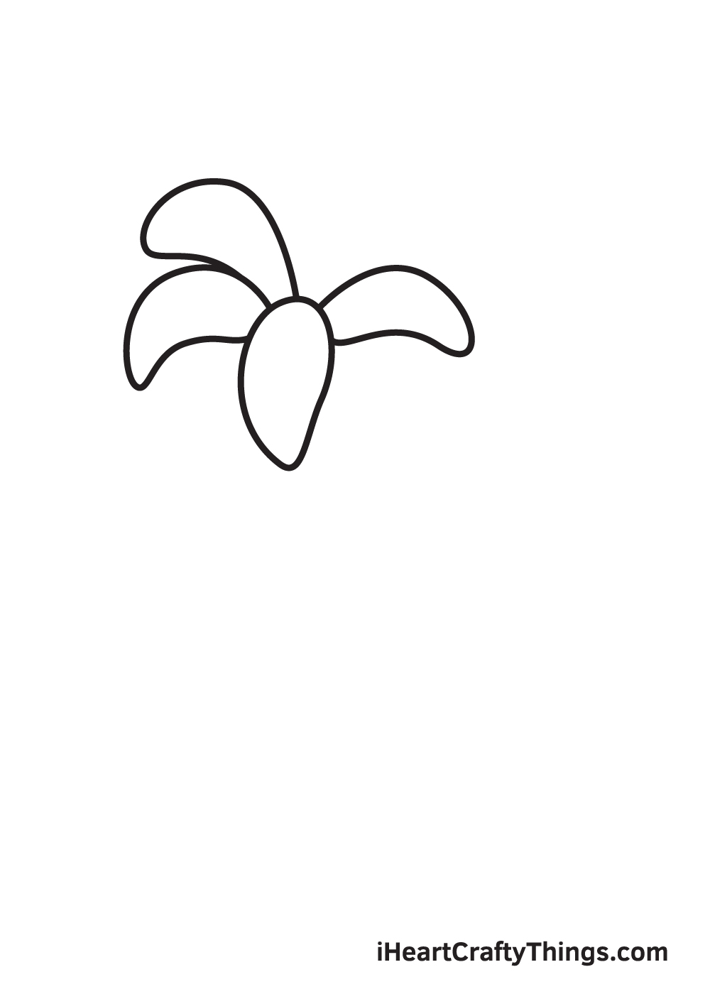 lily drawing step 4