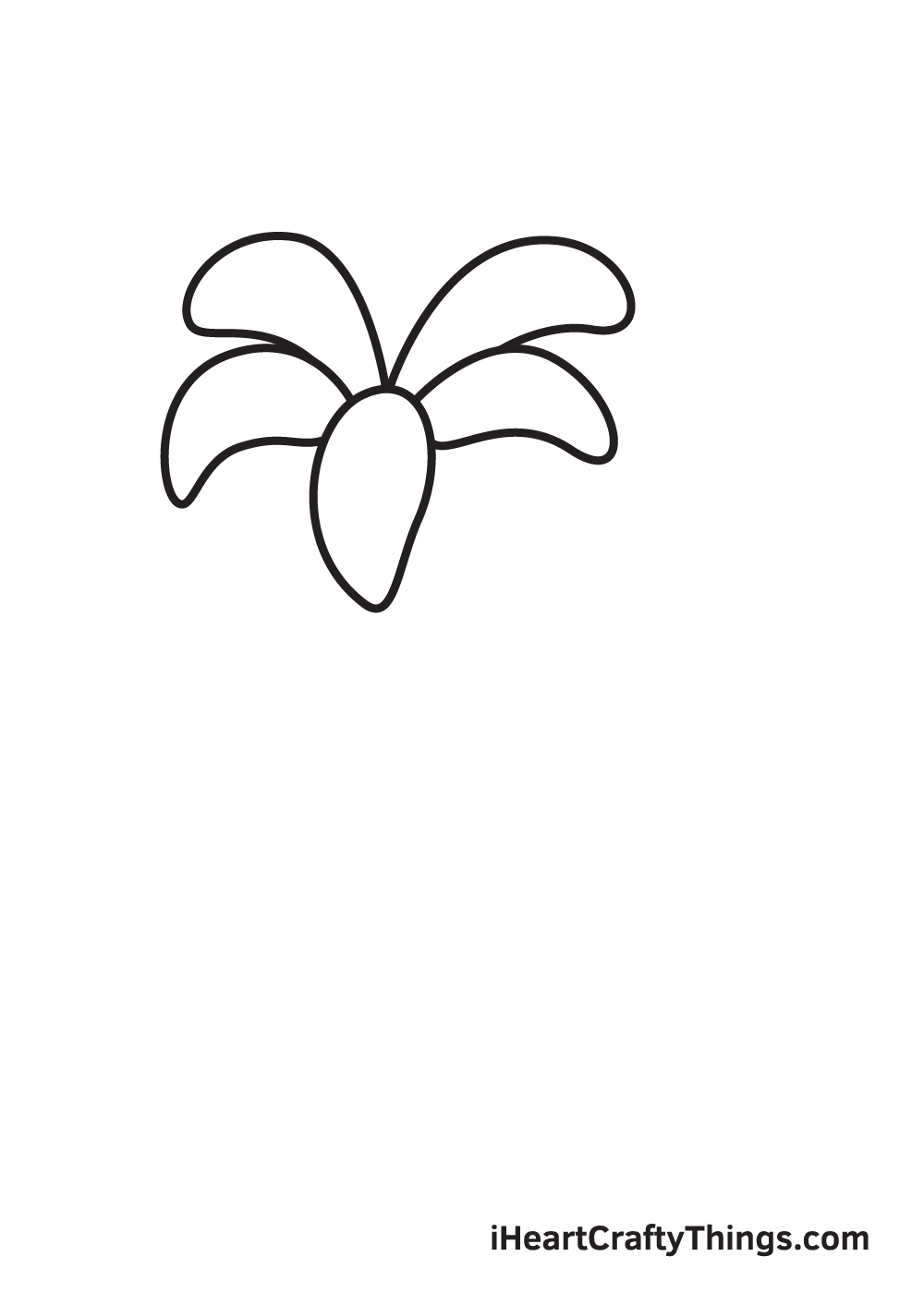 lily drawing step 5