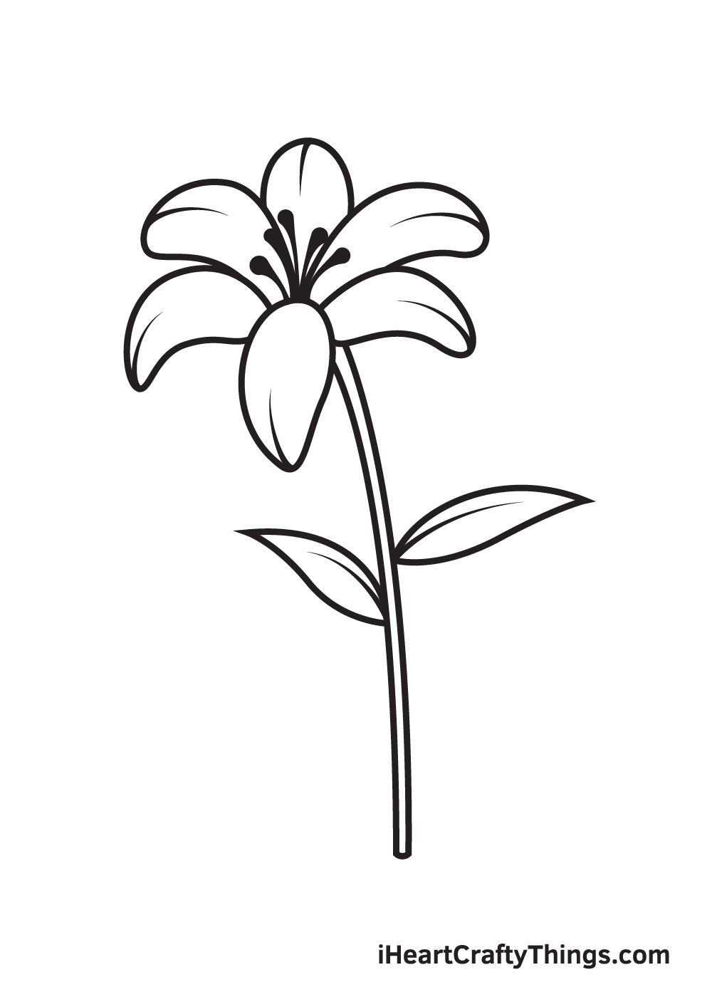 lily drawing step 9