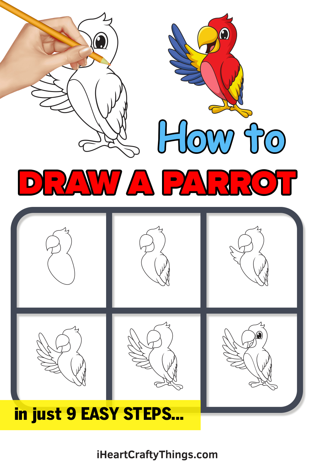 how to draw a parrot in 9 easy steps