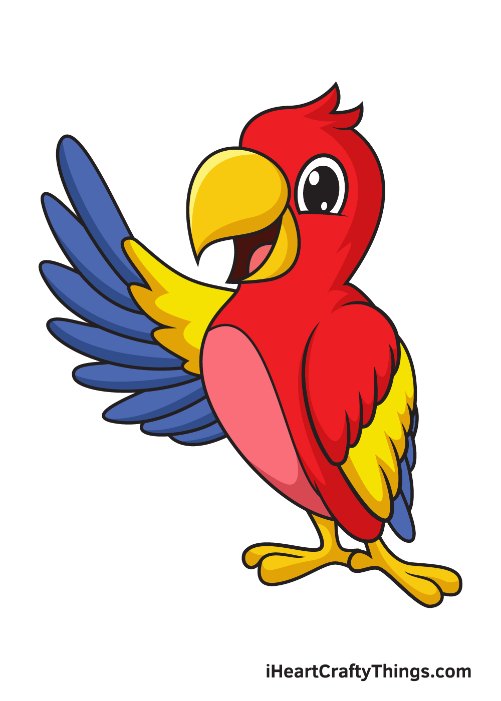 parrot drawing 9 steps