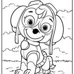 paw patrol coloring pages free images