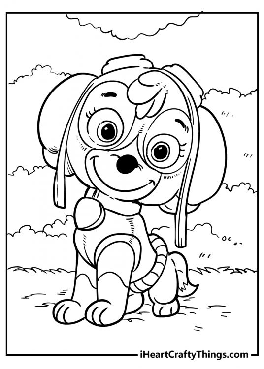 All New Paw Patrol Coloring Pages for 2024