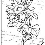 sunflower coloring images free printable