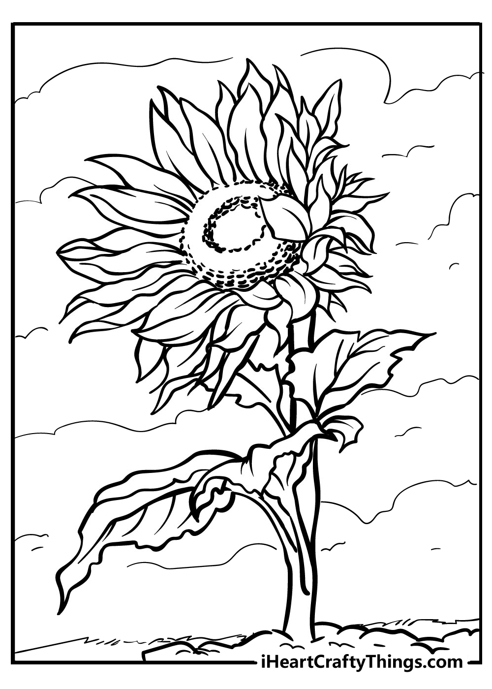 sunflower colouring images free printable