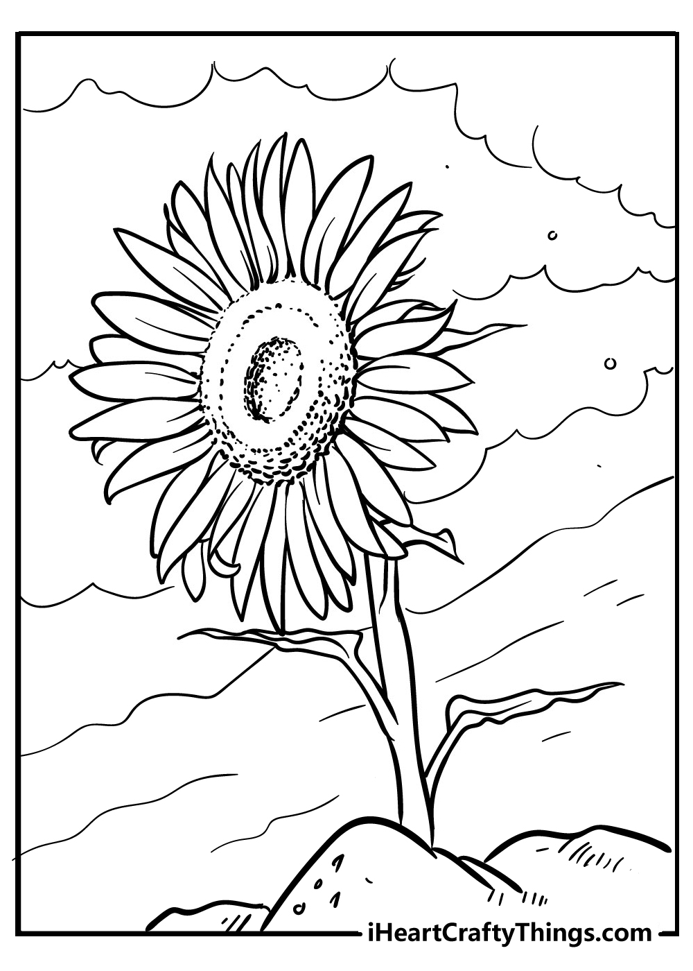 sunflower coloring sheets for download