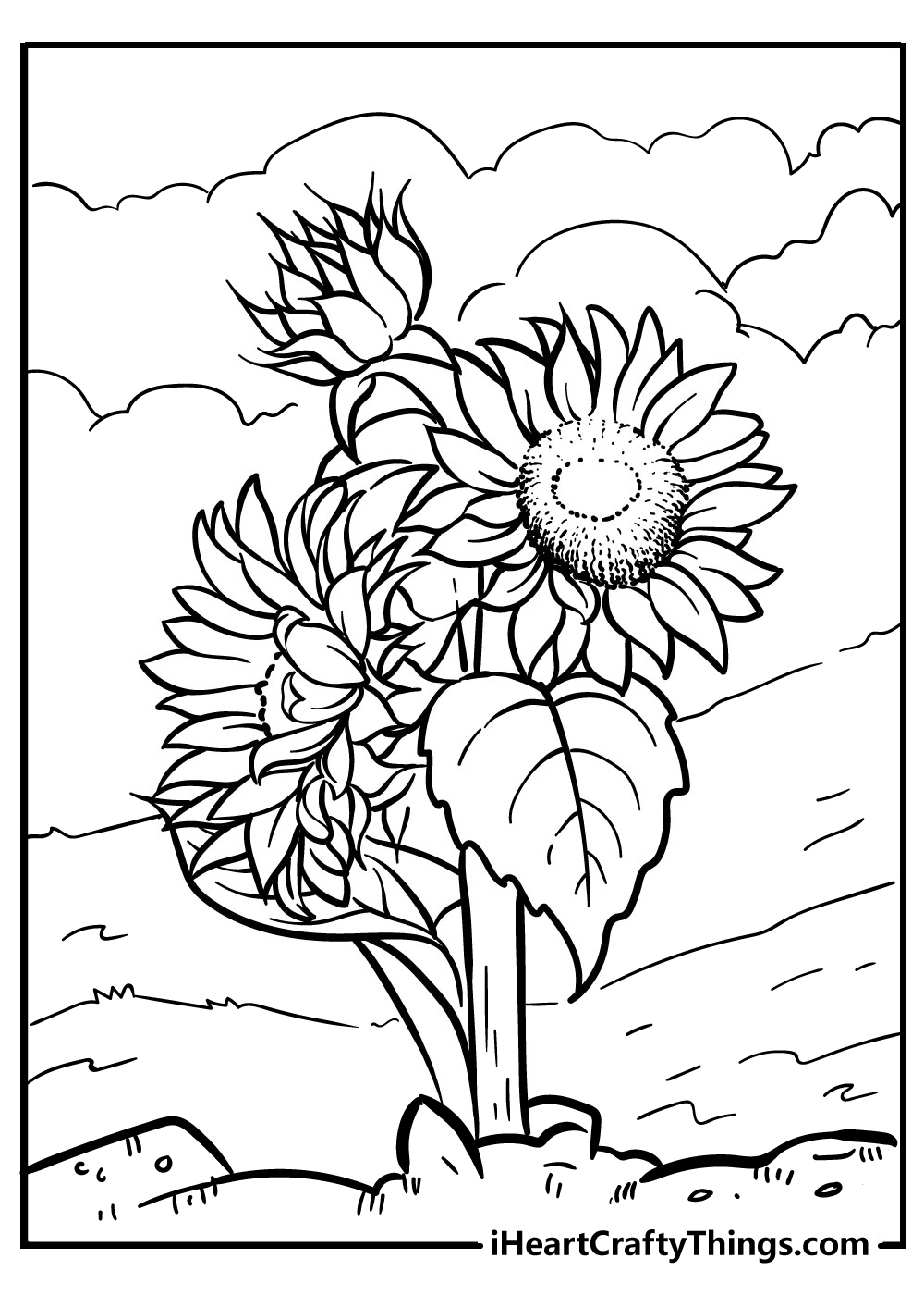 free printable flower coloring sunflower coloring pages