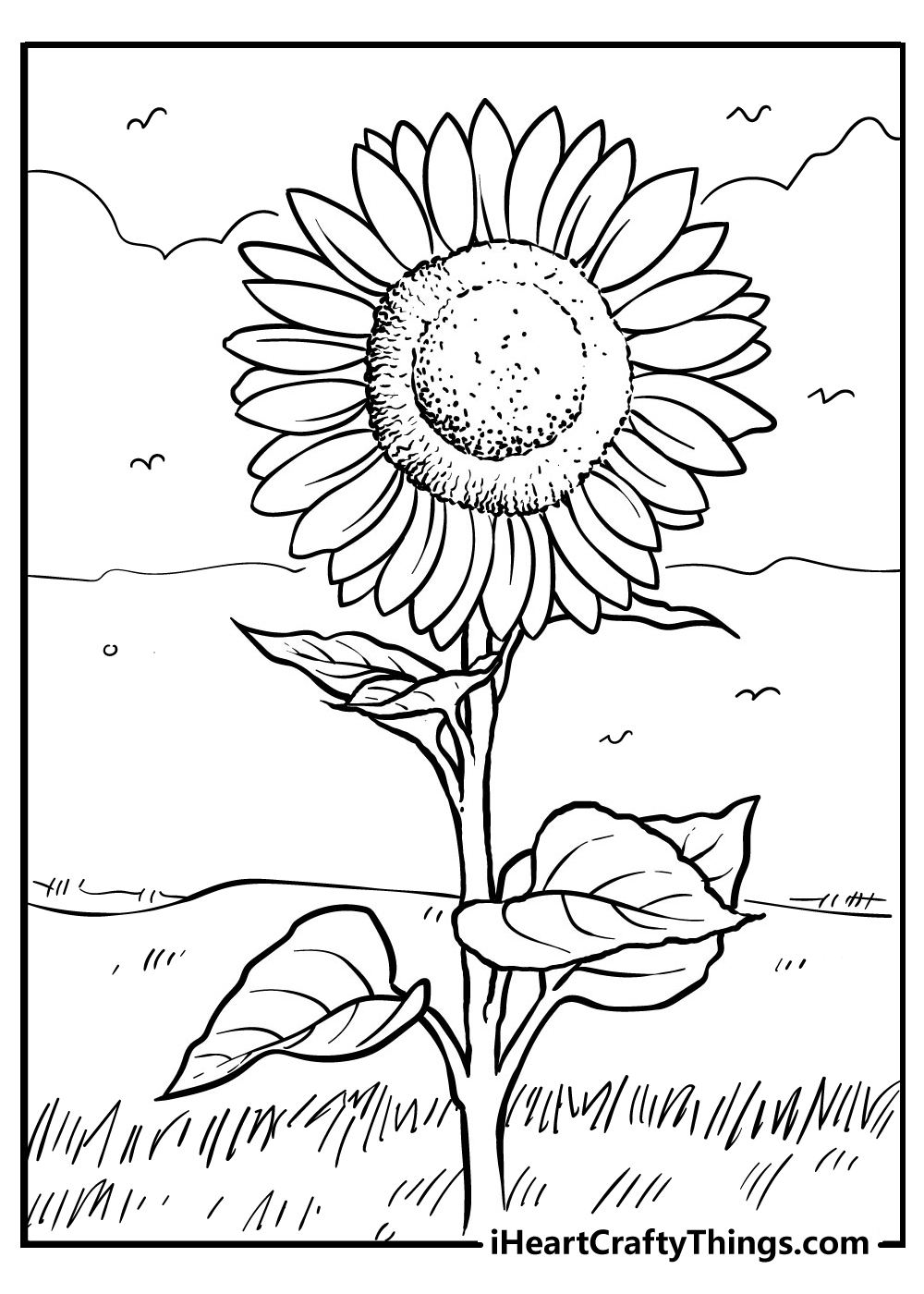 free printable sunflower coloring images for adults