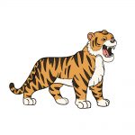 how to draw tiger image