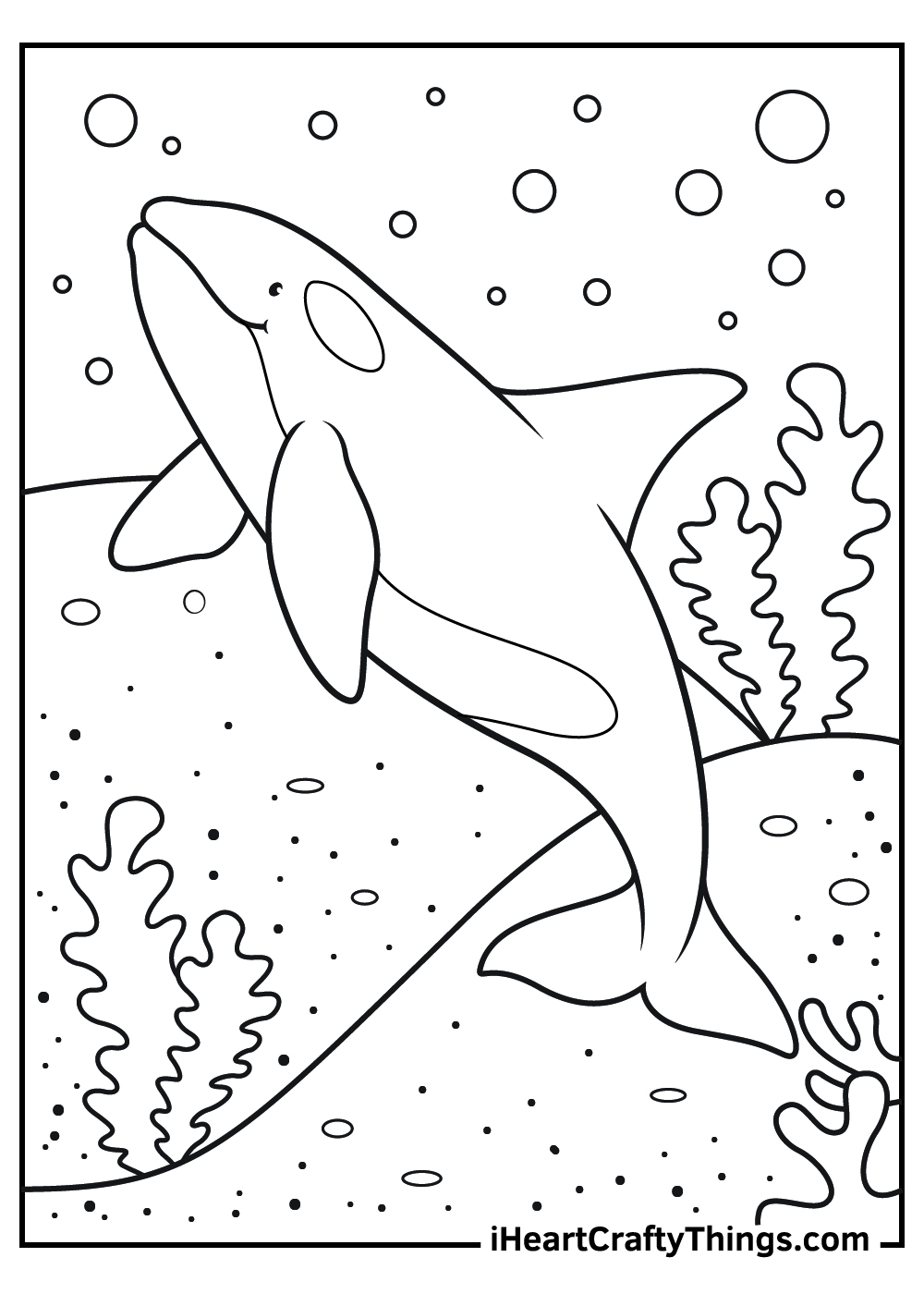killer whale coloring pages to print