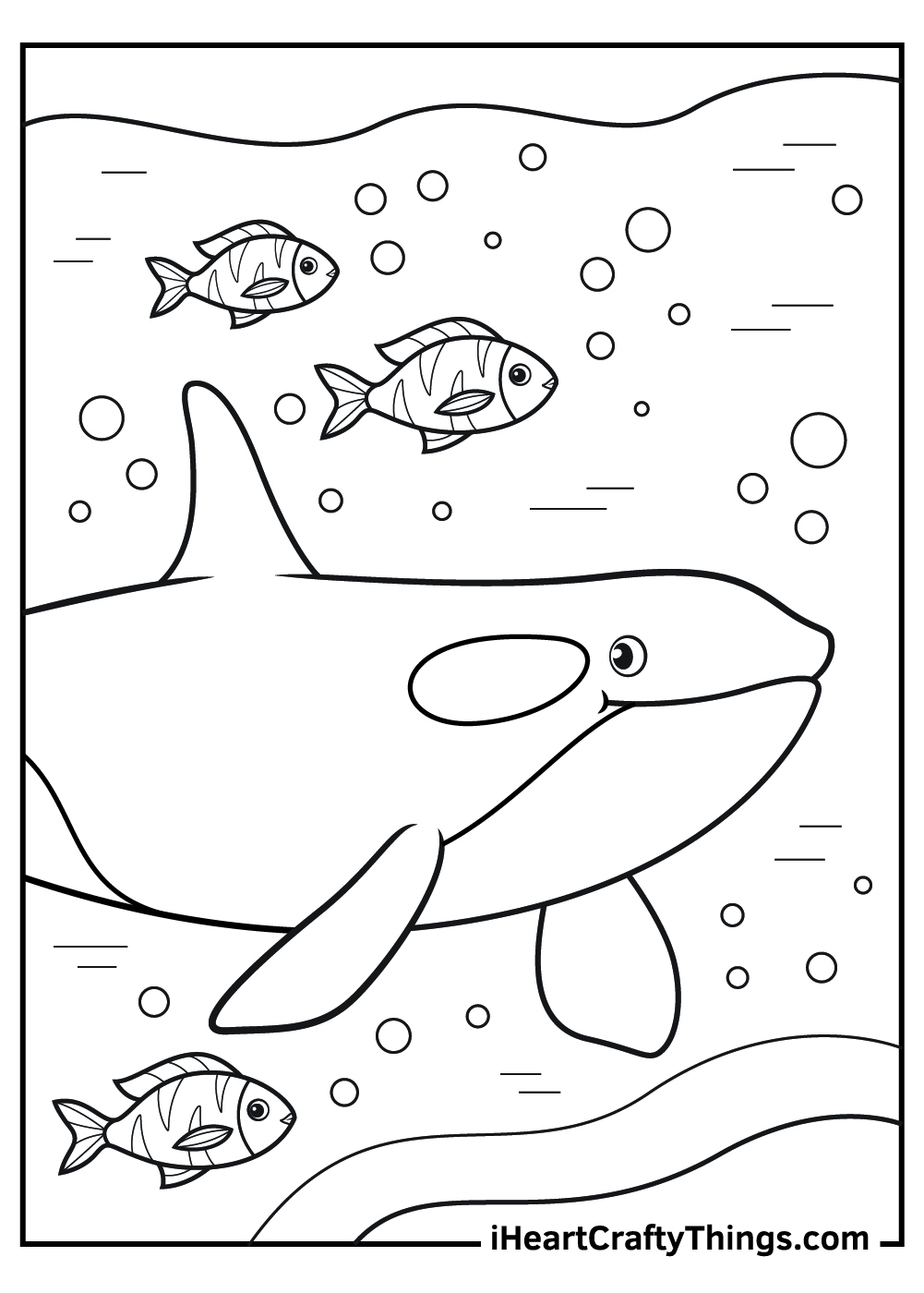killer whale coloring pages black and white