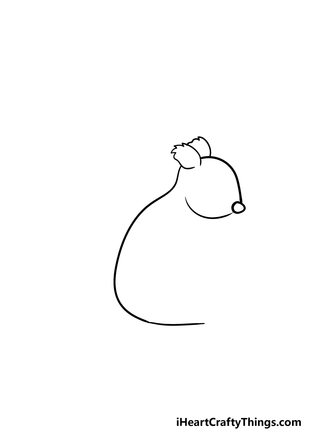 squirrel drawing step 2