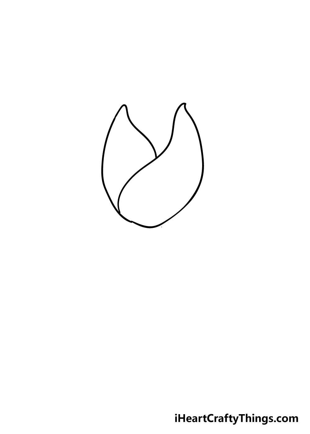 tulip drawing step 2