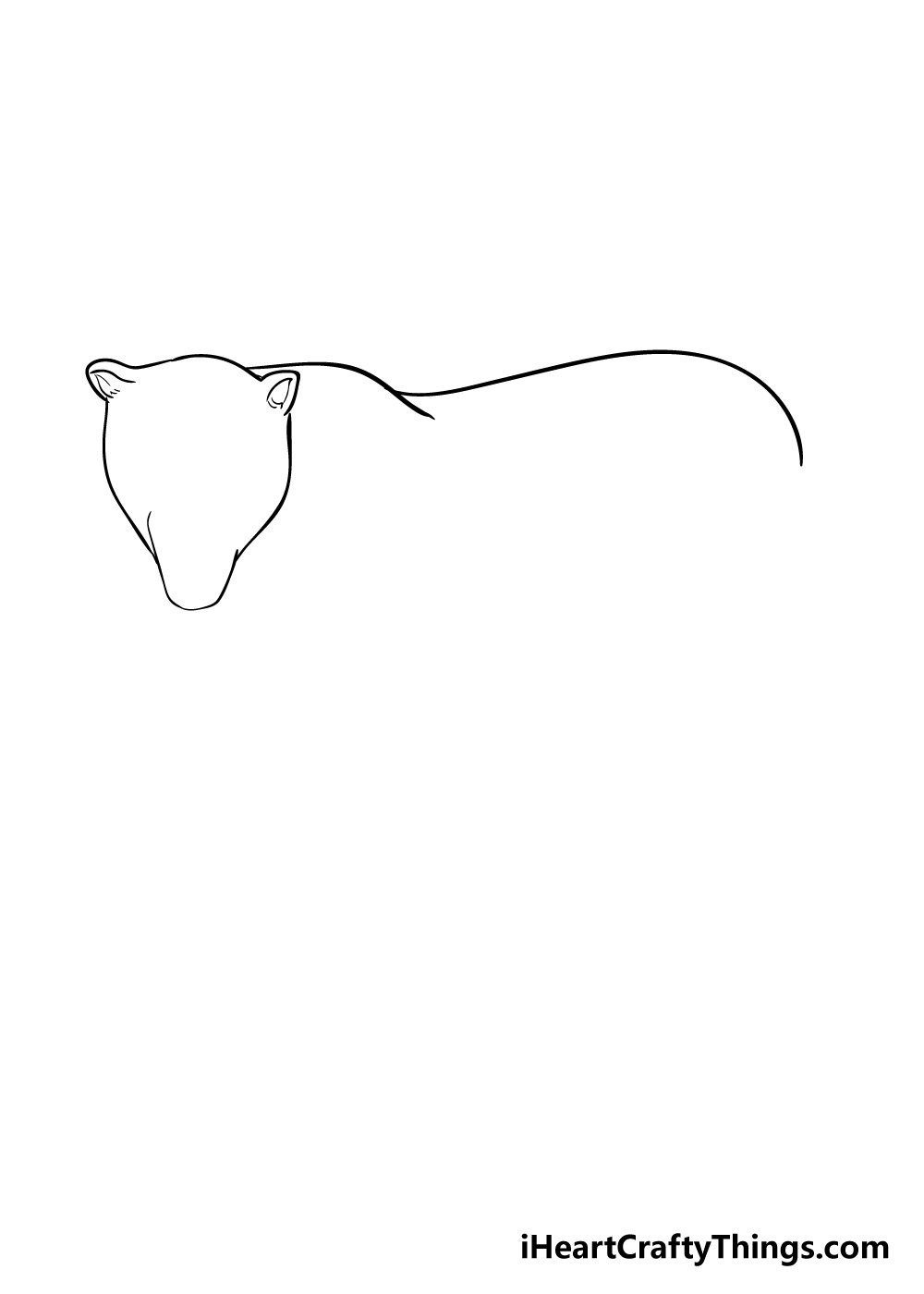 jaguar drawing step 2