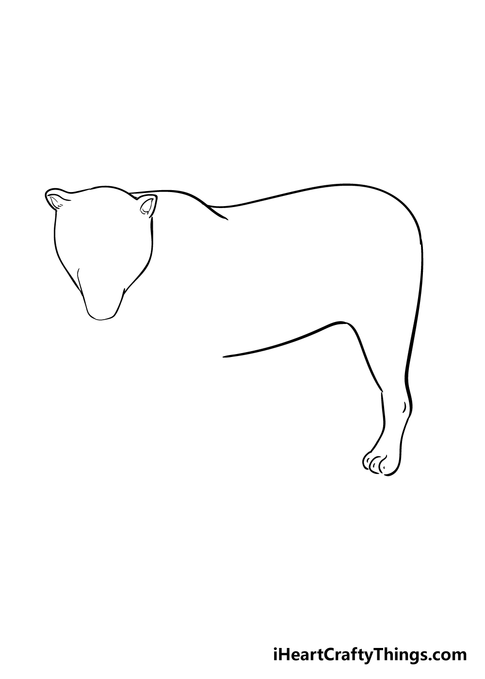 jaguar drawing step 3