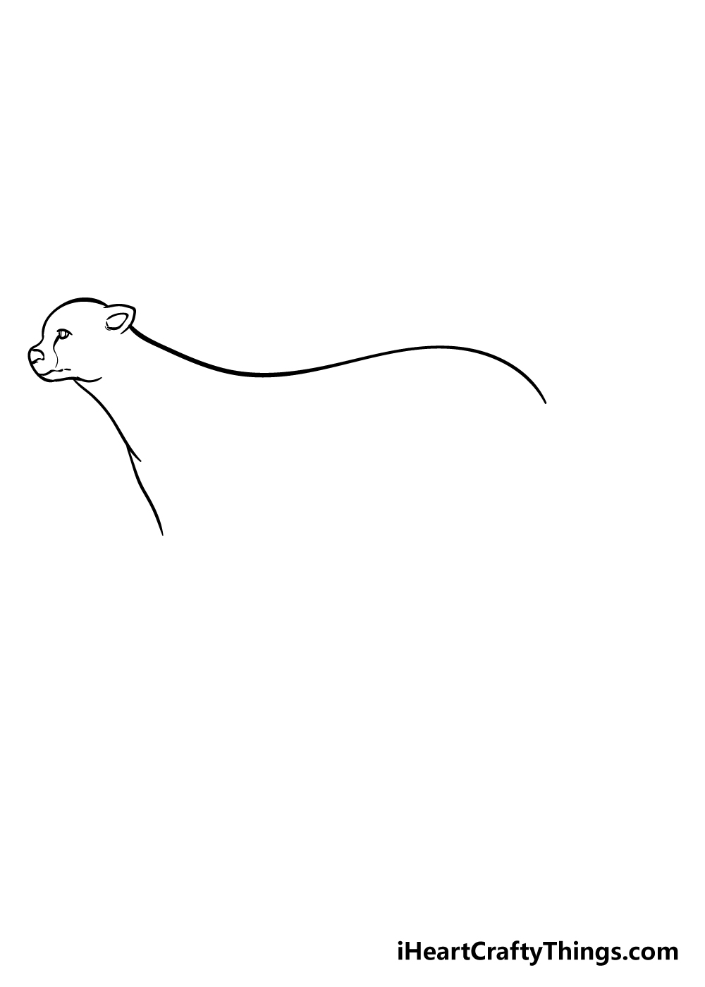 cheetah drawing step 4