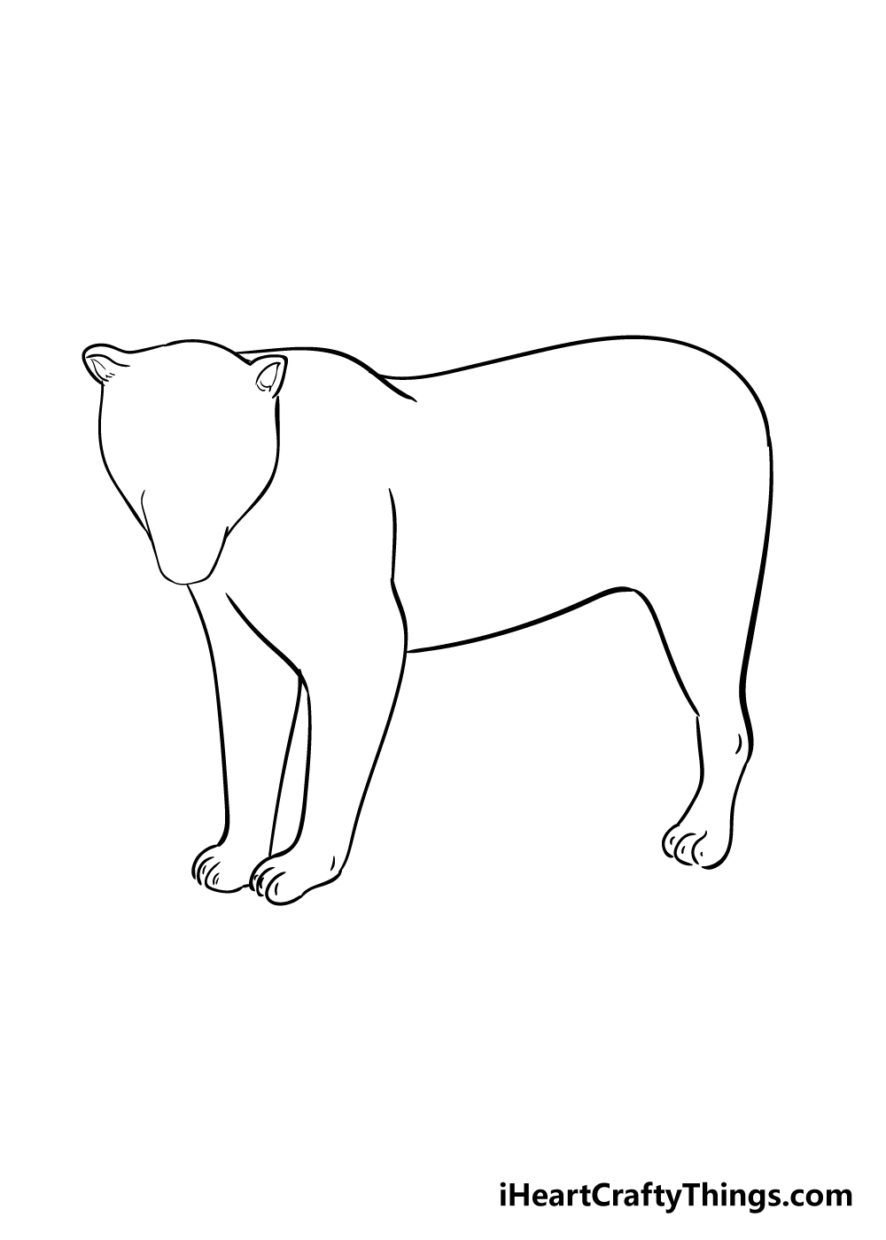jaguar drawing step 4