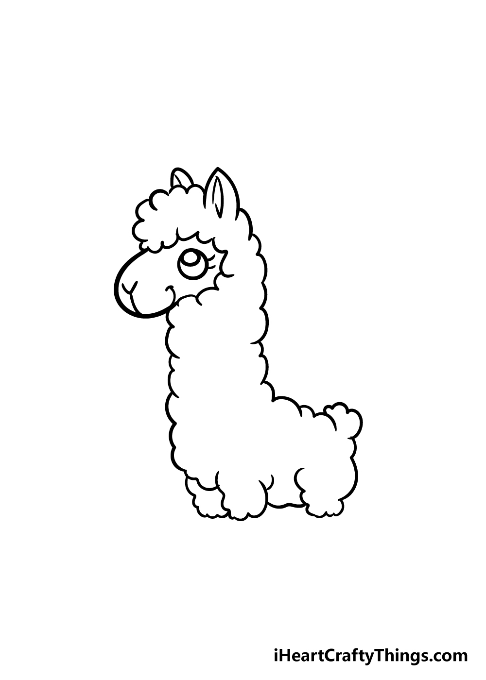 llama drawing step 5