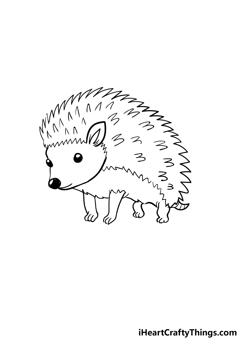 hedgehog drawing step 5