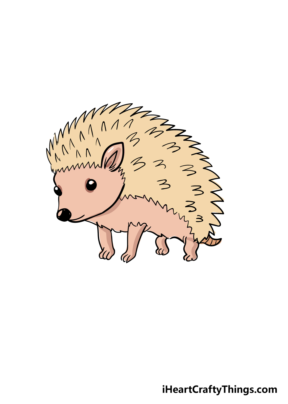 hedgehog drawing step 6
