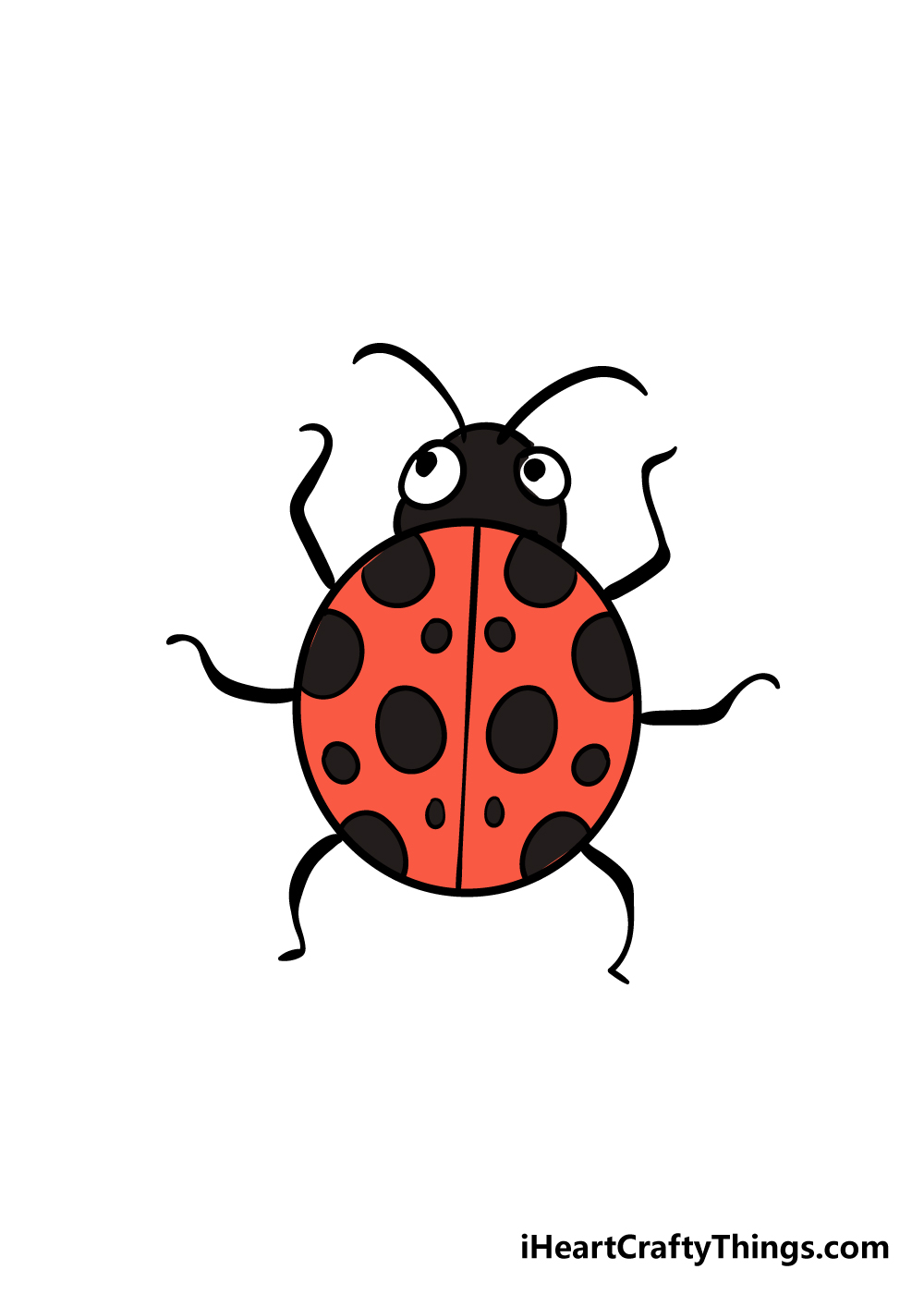 ladybug drawing step 8