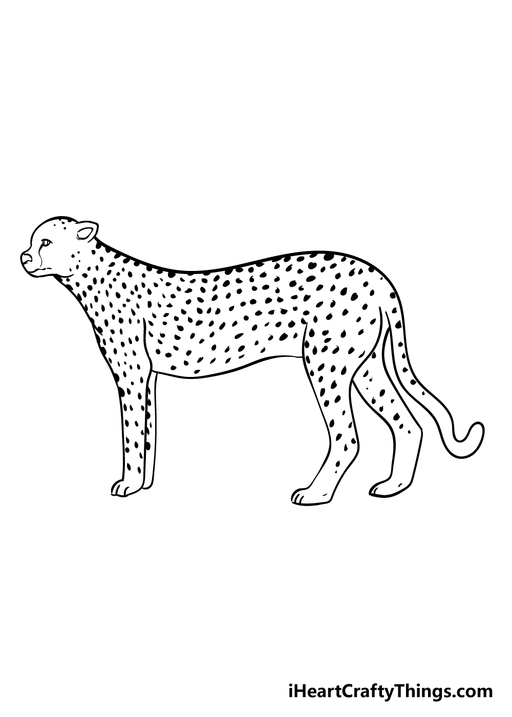 cheetah drawing step 8