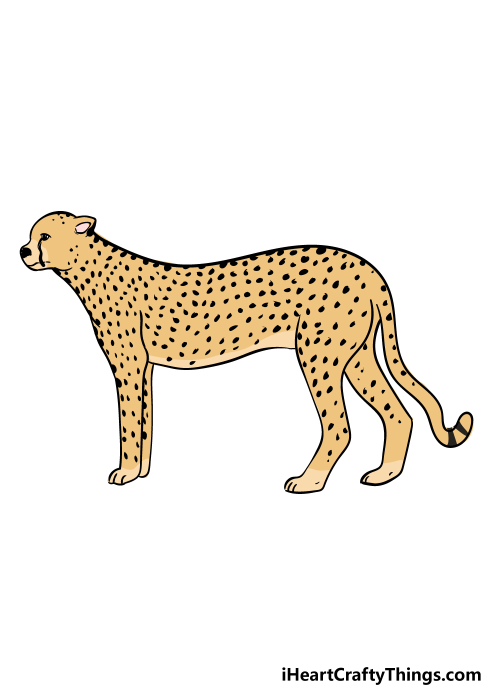 cheetah drawing step 9