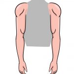 how to draw arms image