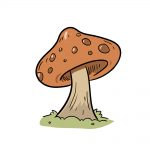 how to draw mushroom image